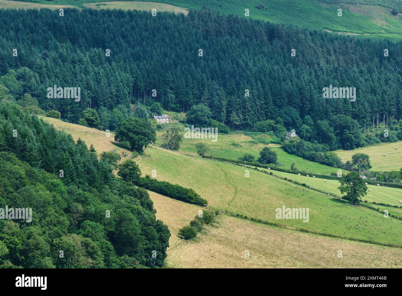 Hillside Cottage e David's Wood, Stowe, Shropshire Foto Stock