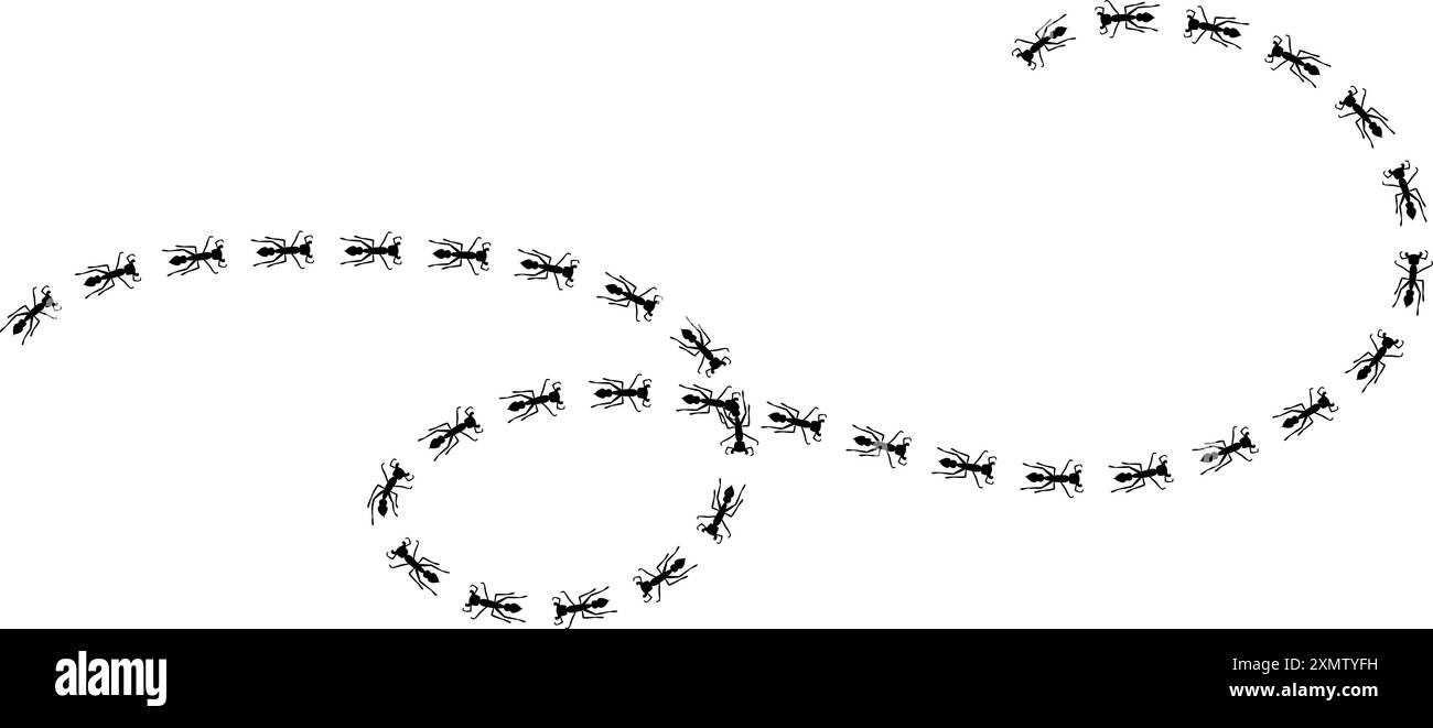 Illustrazione del percorso di turbolenza. Il percorso degli insetti verso la casa. Illustrazione vettoriale di stock isolata su sfondo bianco in stile semplice e piatto. Illustrazione Vettoriale