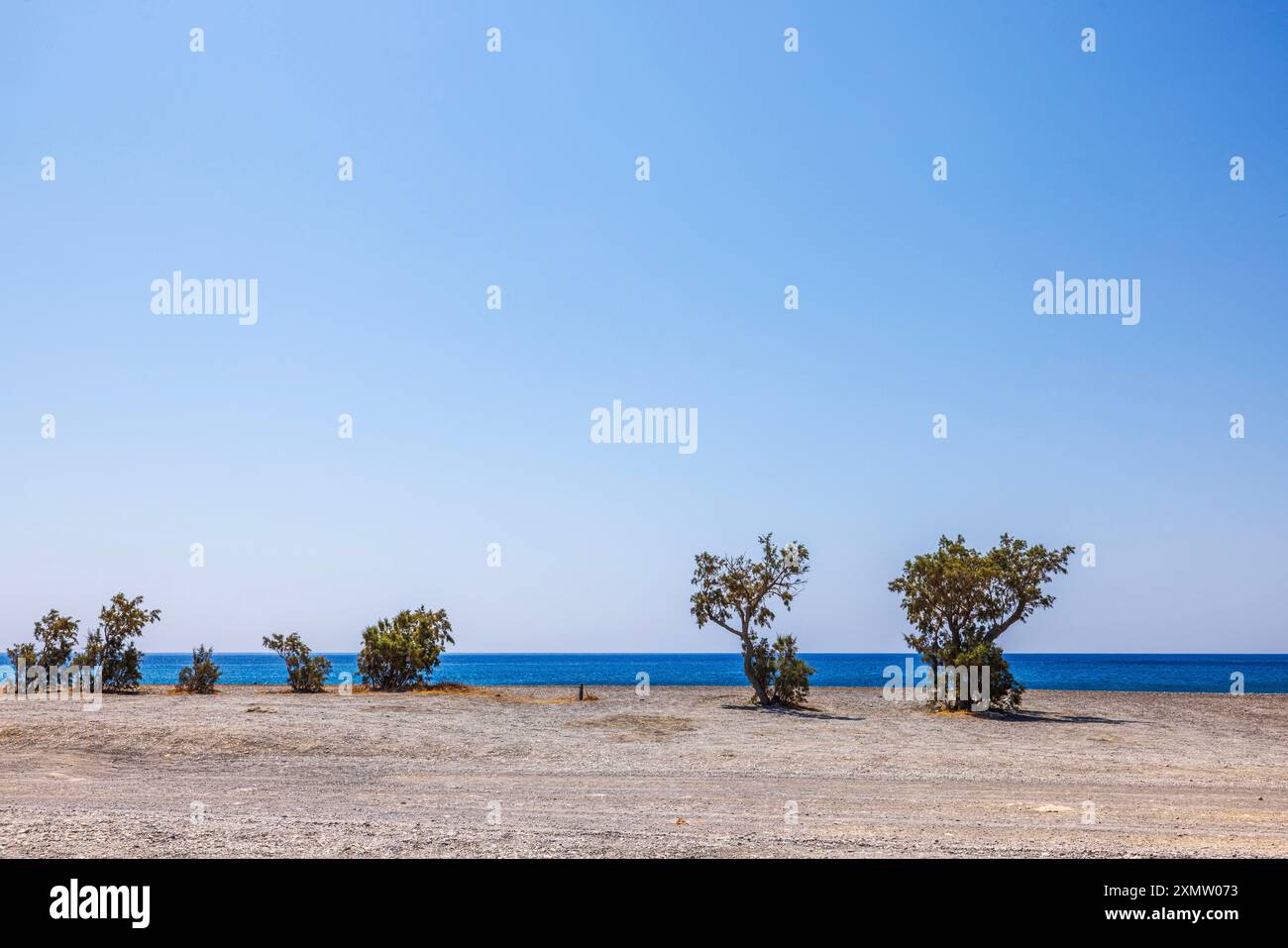 Splendida vista su alberi solitari lungo la spiaggia di ciottoli sulla costa mediterranea di Creta. Foto Stock