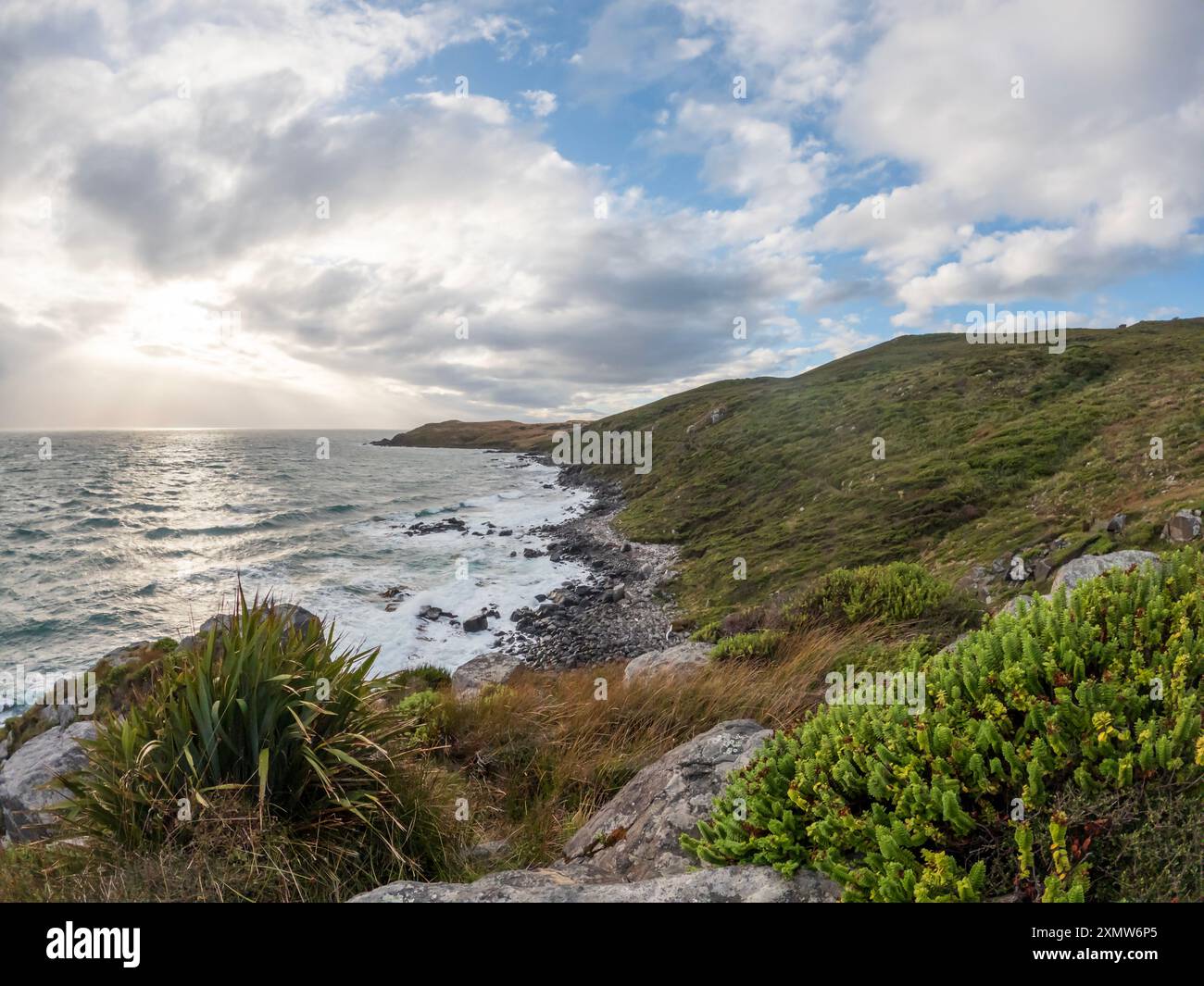 Vista panoramica da Bluff Hill Motupohue, viste spettacolari sullo stretto di Foveaux e sulla foresta nativa, sulla costa martellata dal vento e sulle colline ricoperte di macchia Foto Stock