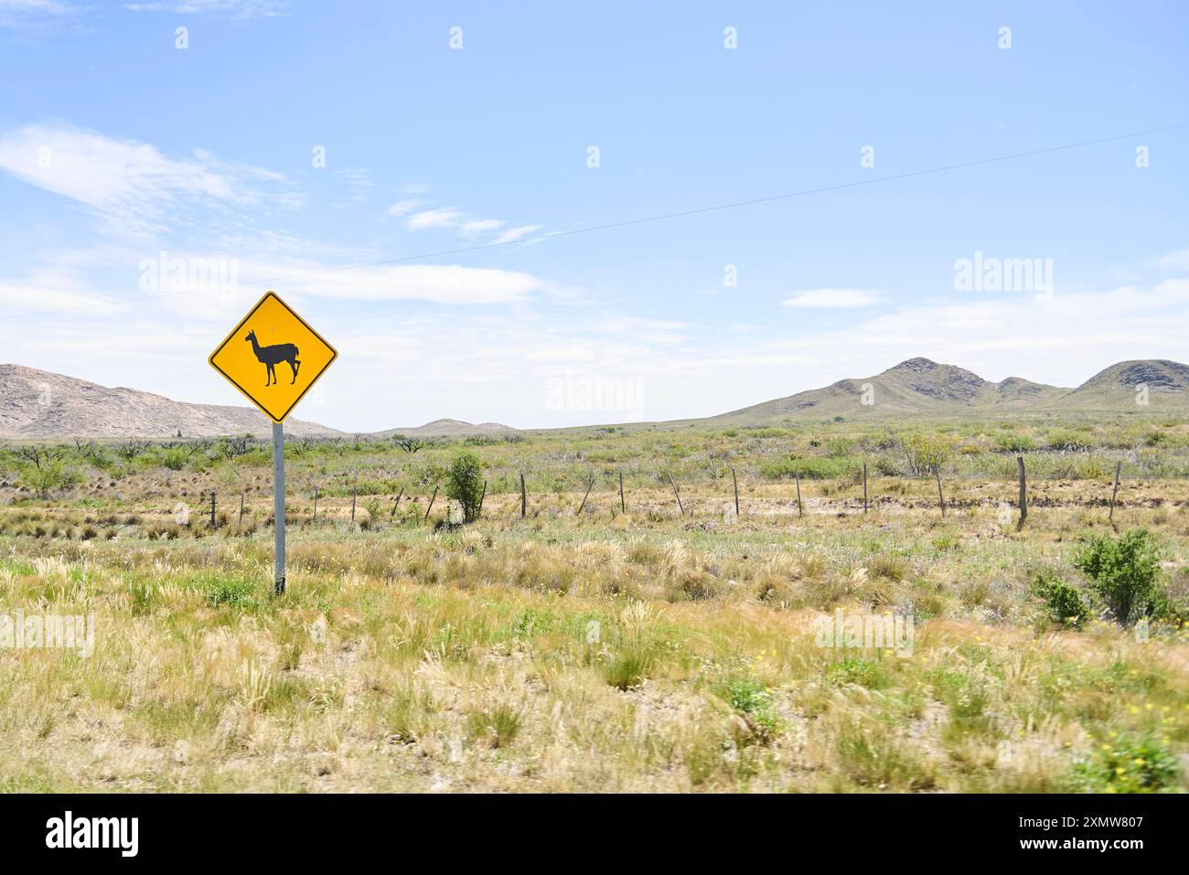 Cartello stradale con un guanaco, che indica la presenza e l'eventuale attraversamento della fauna locale, avvisa i conducenti di evitare incidenti e la corsa sugli animali Foto Stock