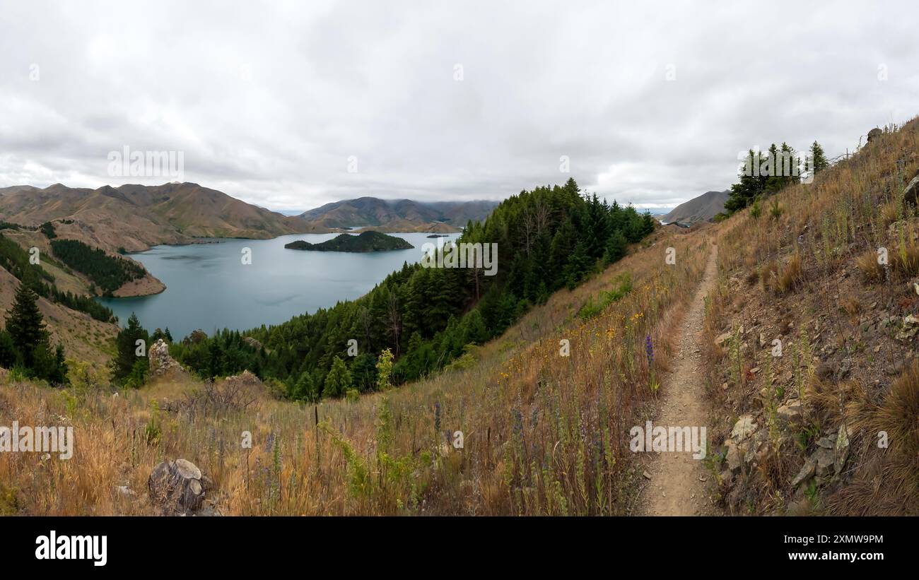 Penisola di Benmore: Un'oasi tranquilla in mezzo a paesaggi aridi nel distretto di Waitaki dell'Isola del Sud della nuova Zelanda Foto Stock