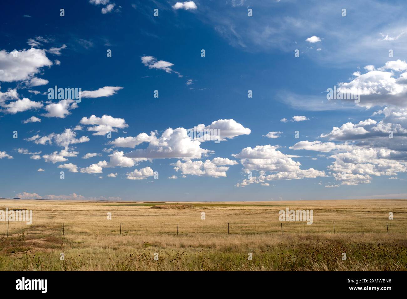 Ammira le alte pianure occidentali con un campo asciutto sotto il cielo blu con alcune nuvole di cumulus sopra la prateria Foto Stock
