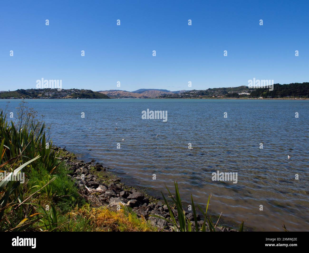 Porirua Harbour, nuova Zelanda Foto Stock