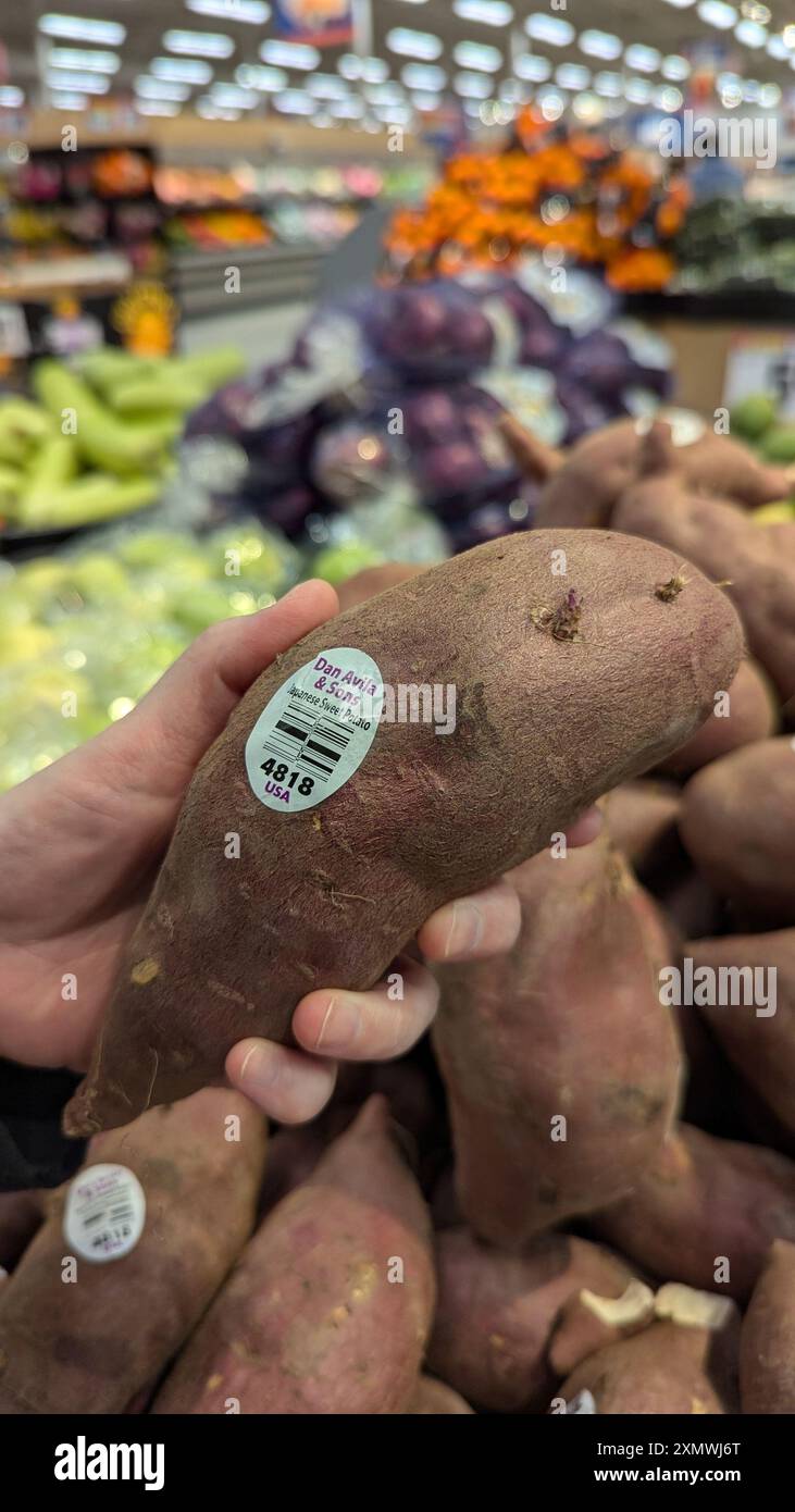 Primo piano di una mano che tiene in mano l'igname viola con un mucchio di igname maturo come sfondo. messa a fuoco selettiva. Foto Stock