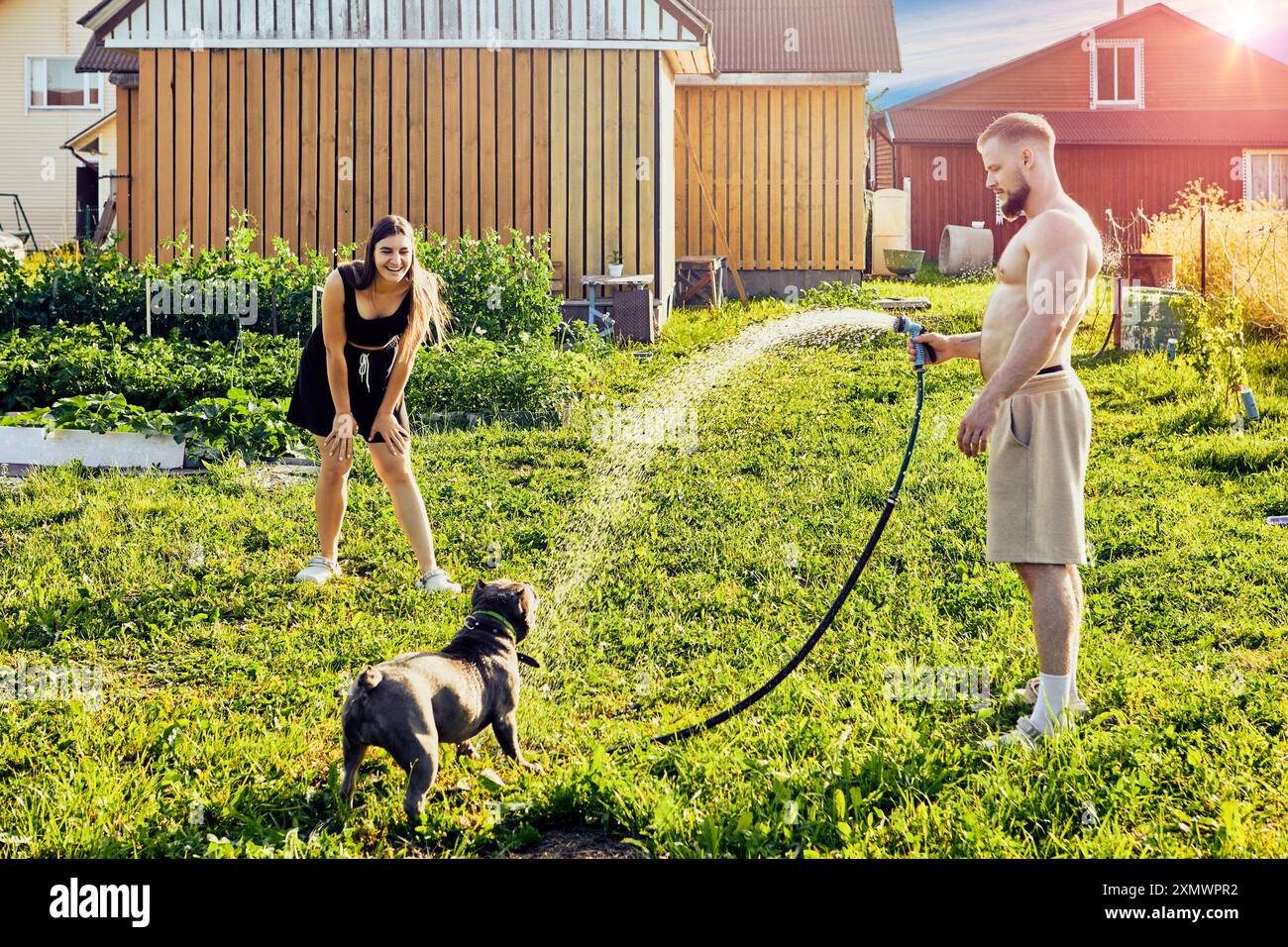 Un cane bullo americano gioca con il flusso d'acqua del tubo da giardino, divertendosi con una coppia caucasica, un giovane uomo e una donna. Foto Stock