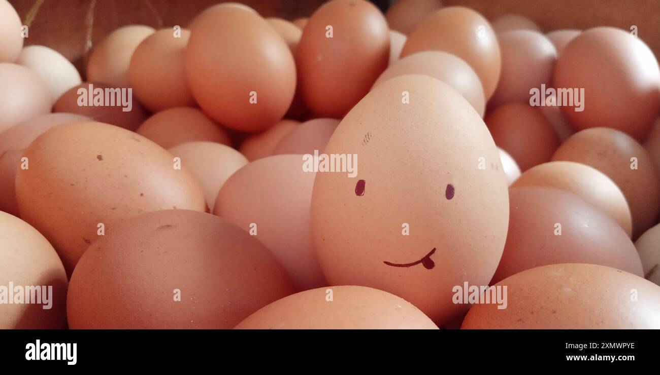 Una faccia sorridente disegnata su un uovo circondato da molti in un cartone Foto Stock
