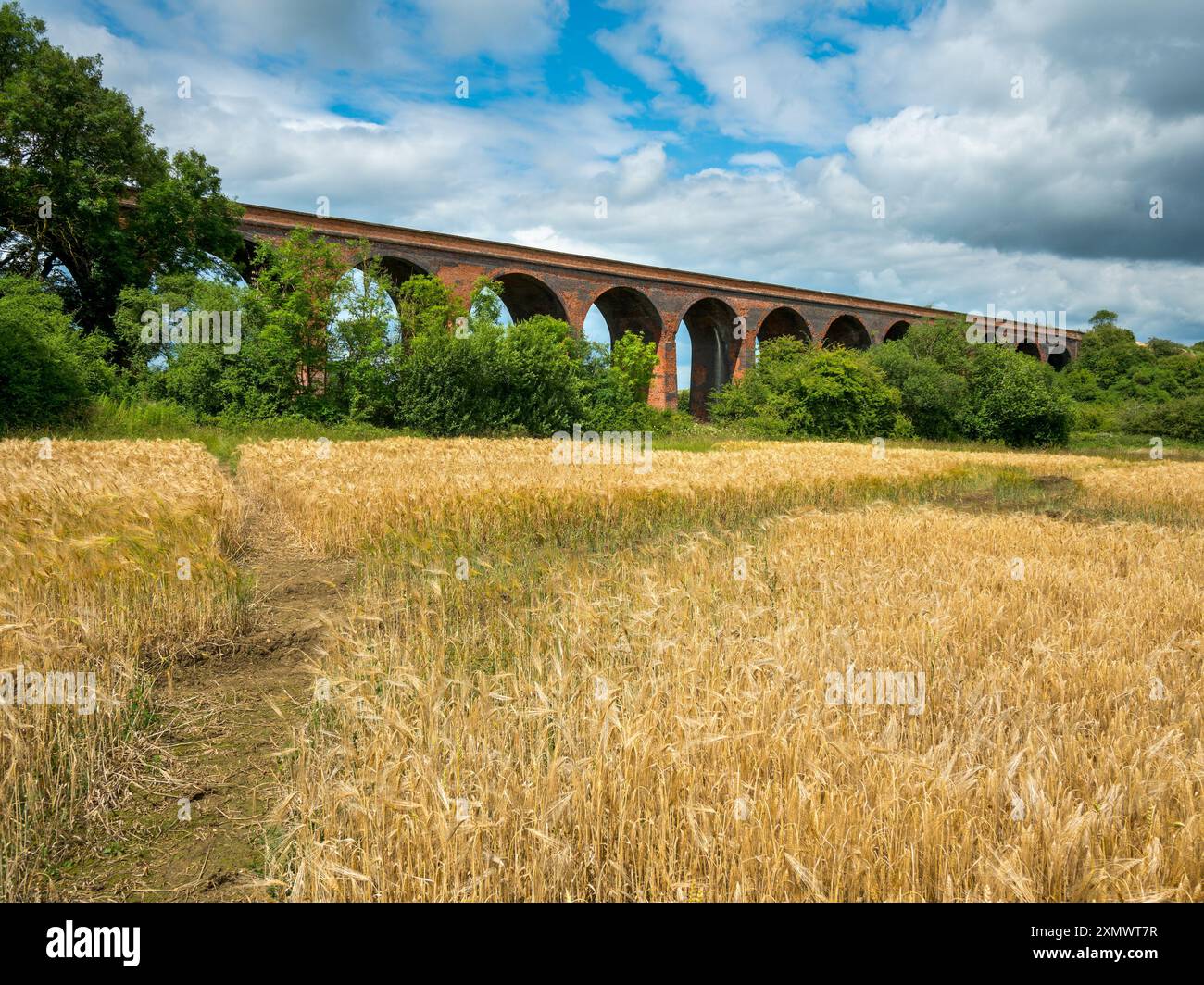 Il vecchio viadotto ferroviario vittoriano in mattoni rossi in disuso vicino a Marefield, John o' Gaunt e Twyford nel Leicestershire, Inghilterra, Regno Unito Foto Stock