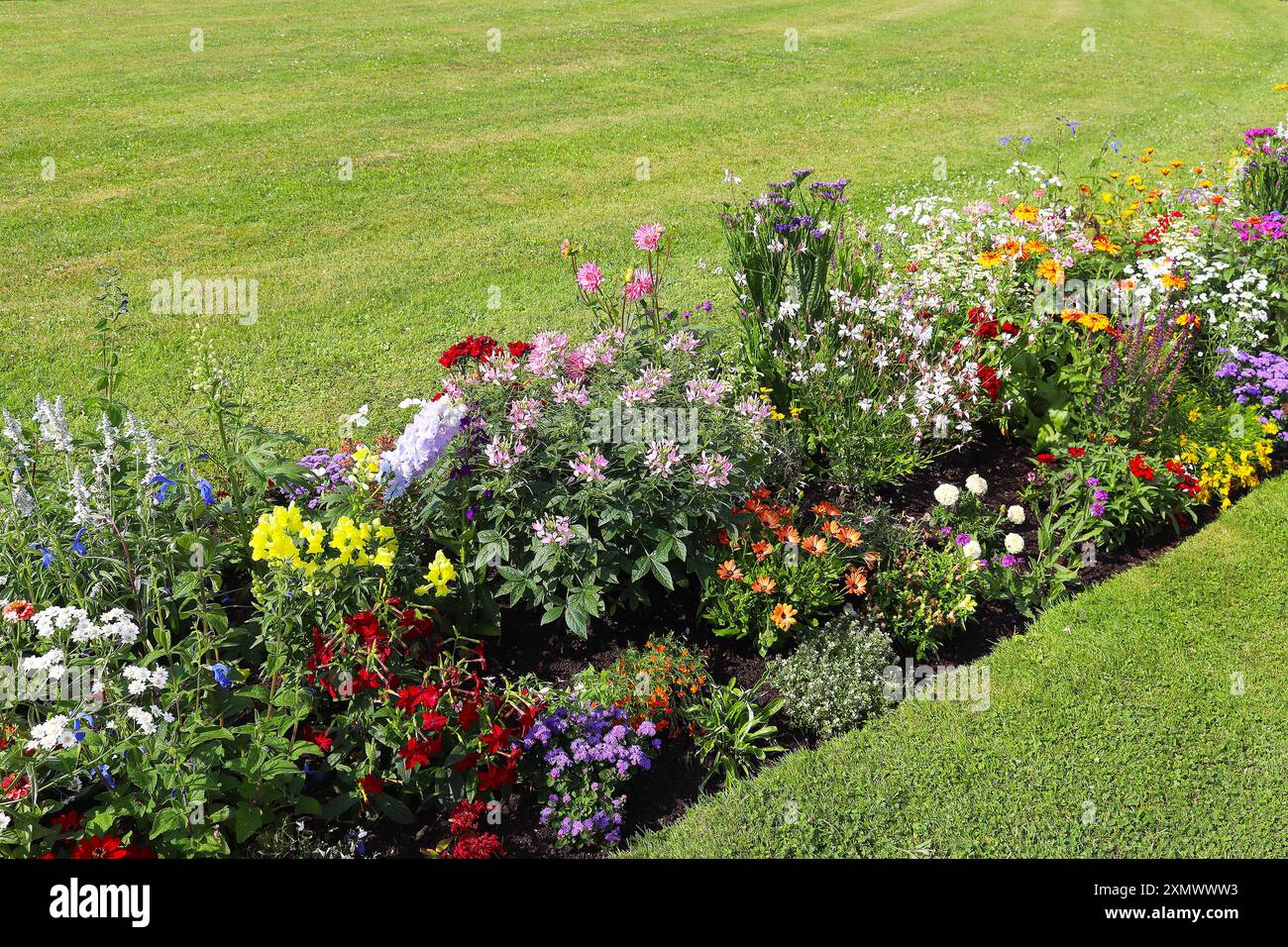 Prato verde incorniciato da un giardinetto di fiori estivi misti, Baviera, Germania Foto Stock