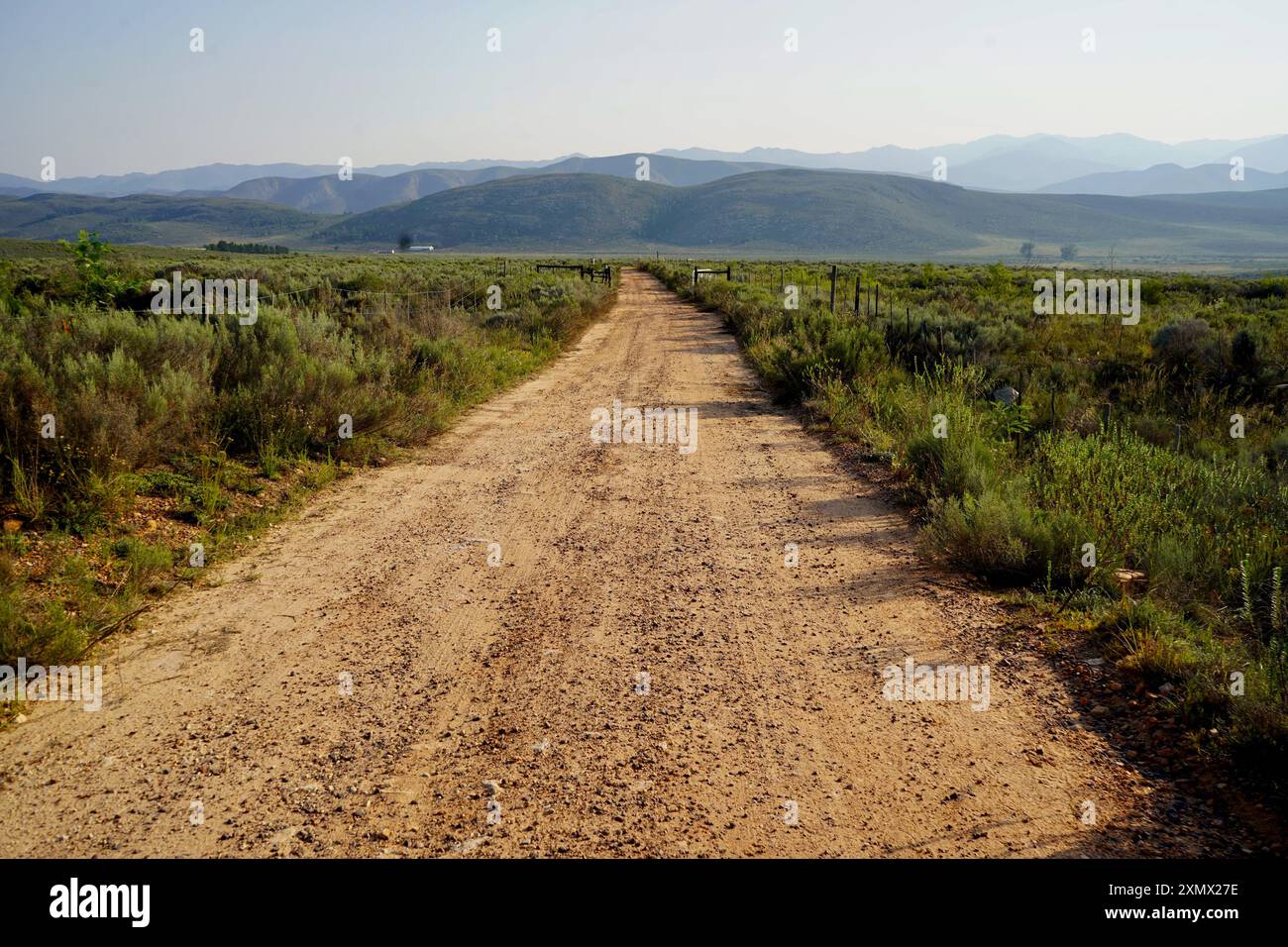 Strada sterrata che si estende fino all'orizzonte Foto Stock