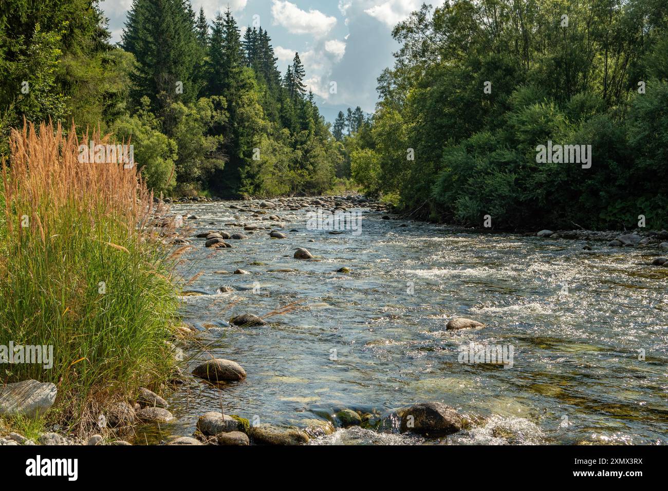 Fiume Bela, vicino a Podbanske, Slovacchia Foto Stock