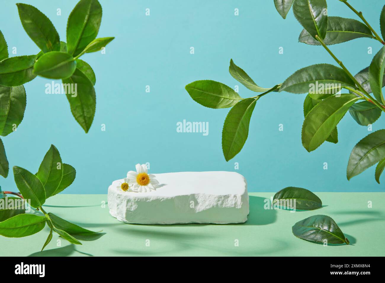 Il piano del tavolo verde chiaro contiene un podio in gesso bianco decorato con un piccolo crisantemo e alcune foglie di tè verde. Modello per pubblicità wi Foto Stock