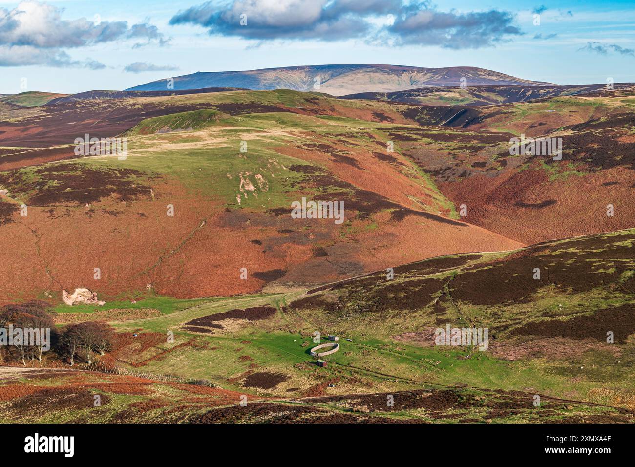 Hownam, a Kelso, Scottish Borders, UK. Il 2 novembre 2018. Guardando a nord-est da Humblemoor 363m sul lato scozzese del Cheviots attraverso la Yett Foto Stock