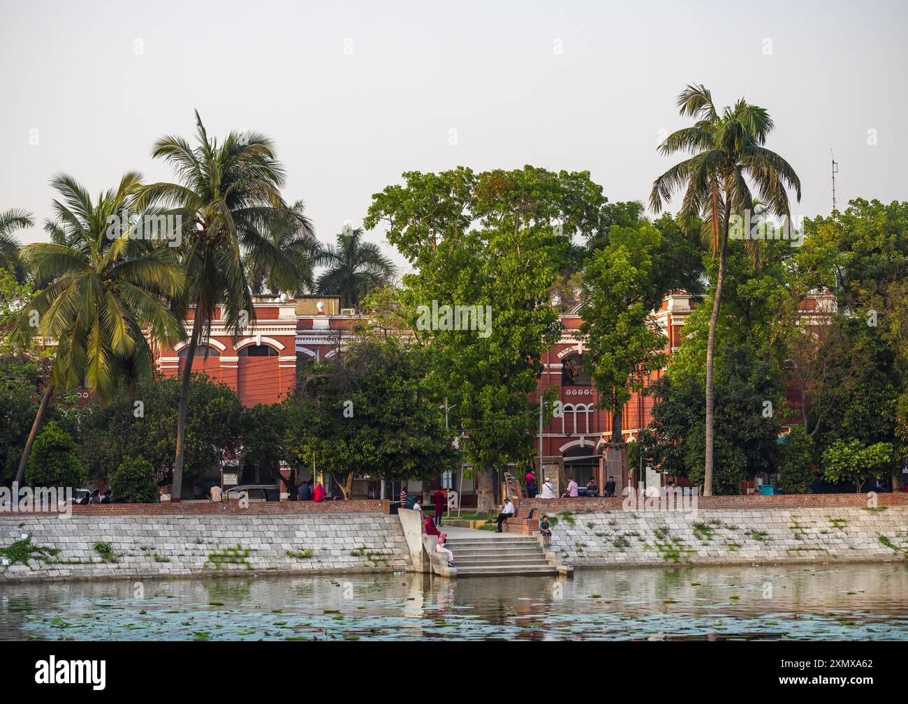 Stagno con ninfea di loto, divisione Khulna, Jessore, Bangladesh Foto Stock