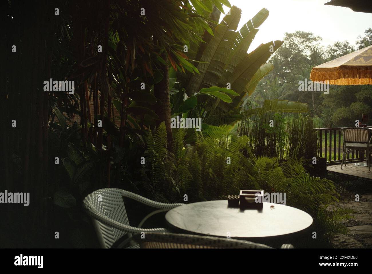 Terrazza all'aperto con tavolo e sedie circondata da vegetazione tropicale Foto Stock