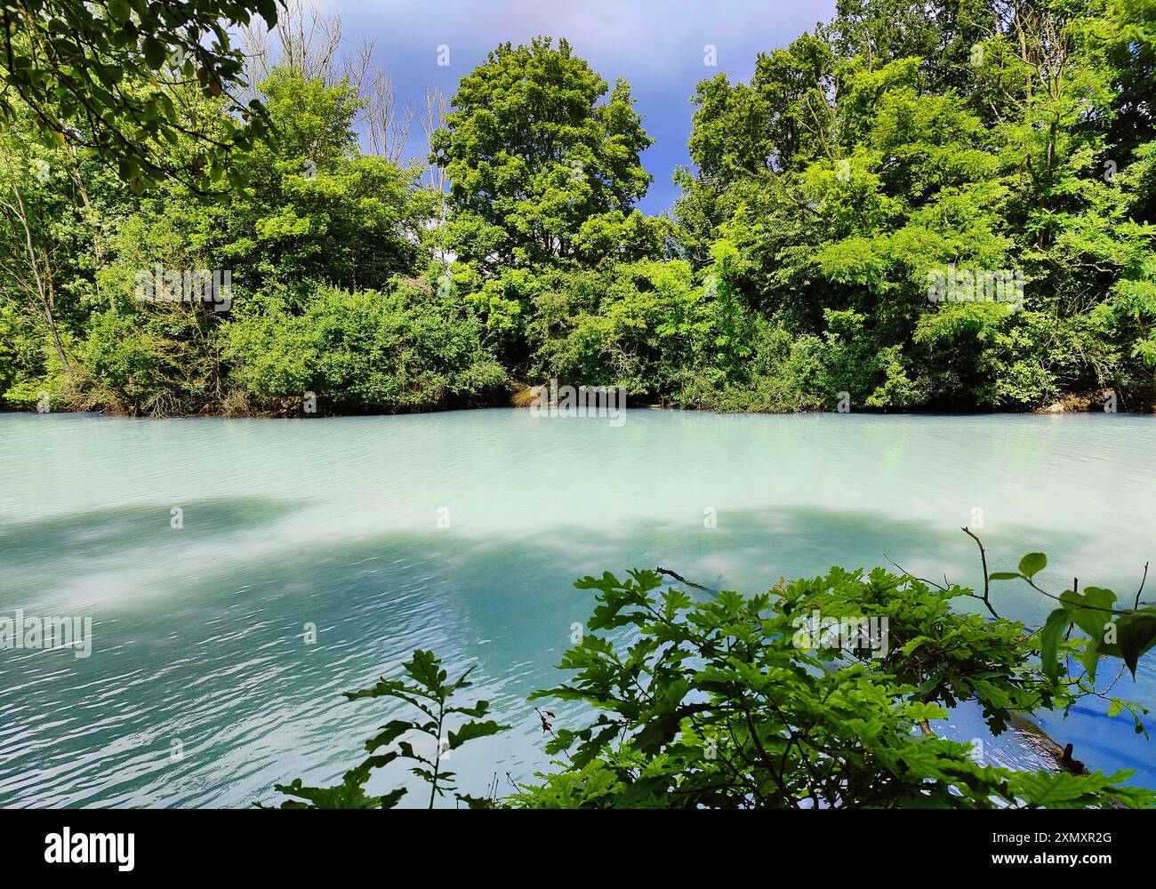 Stagni di Harpen con acqua fossa lattiginosa e torbida degli stagni di Harpen, Germania, Renania settentrionale-Vestfalia, Ruhr area, Bochum Foto Stock