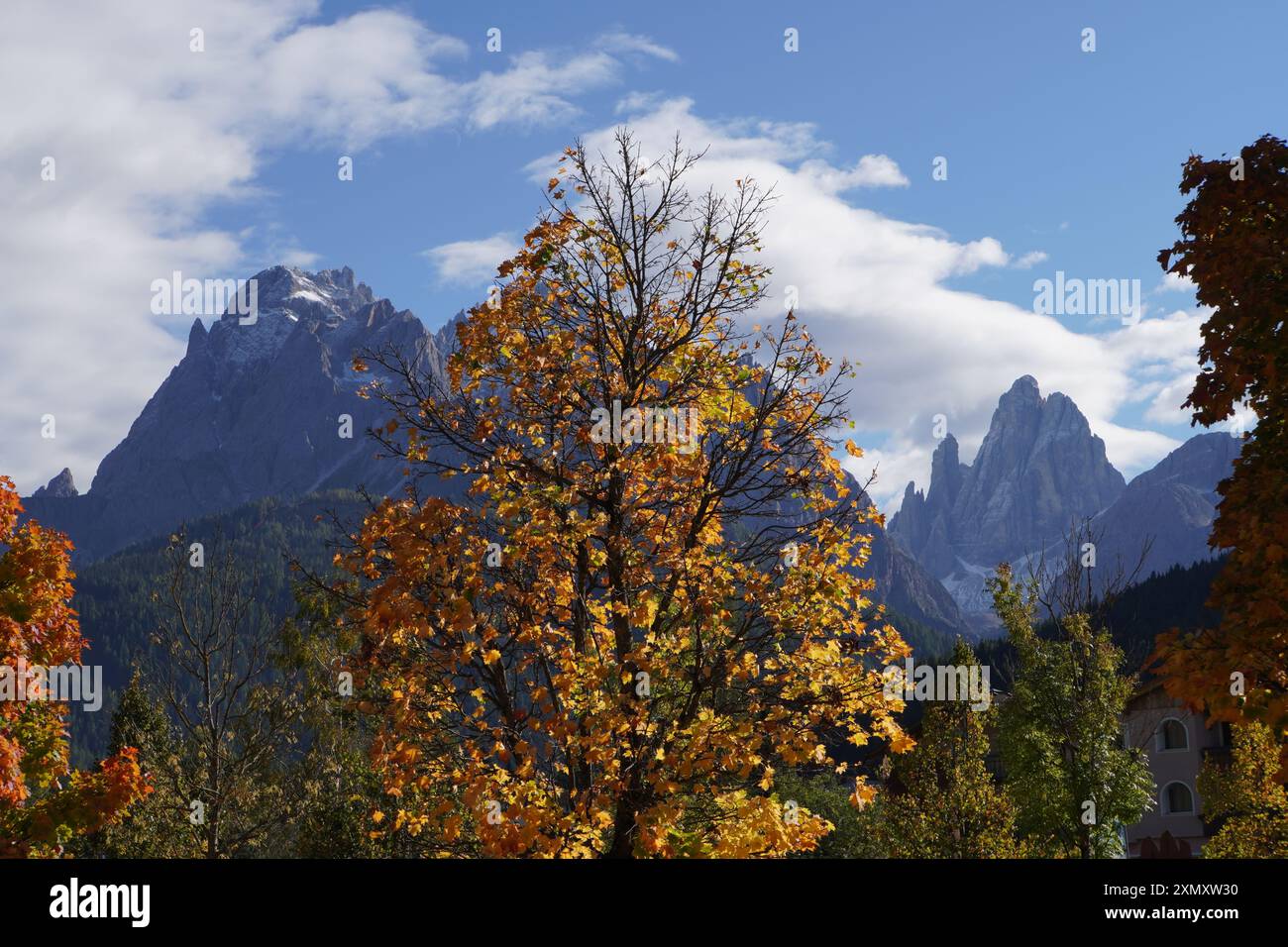 alpi Sextener in autunno con alberi Foto Stock