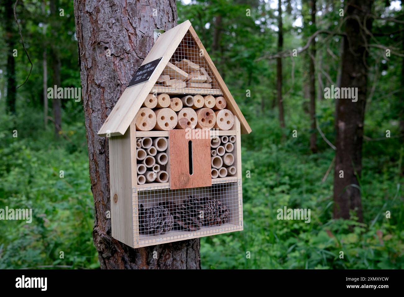 Insetti e api in legno per osservare la fauna selvatica Inghilterra, Regno Unito Foto Stock