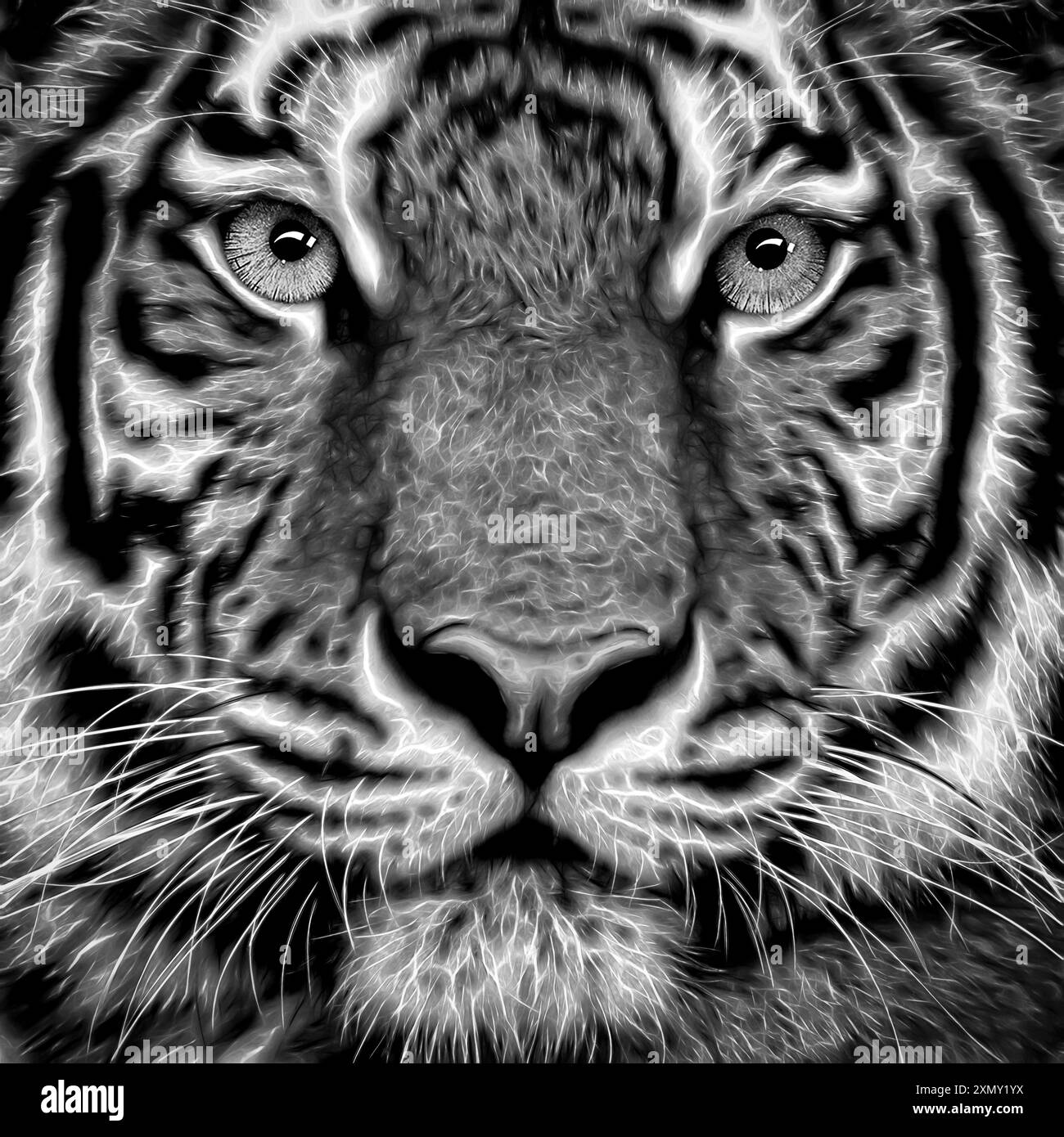 Ritratto tigre, in bianco e nero Foto Stock