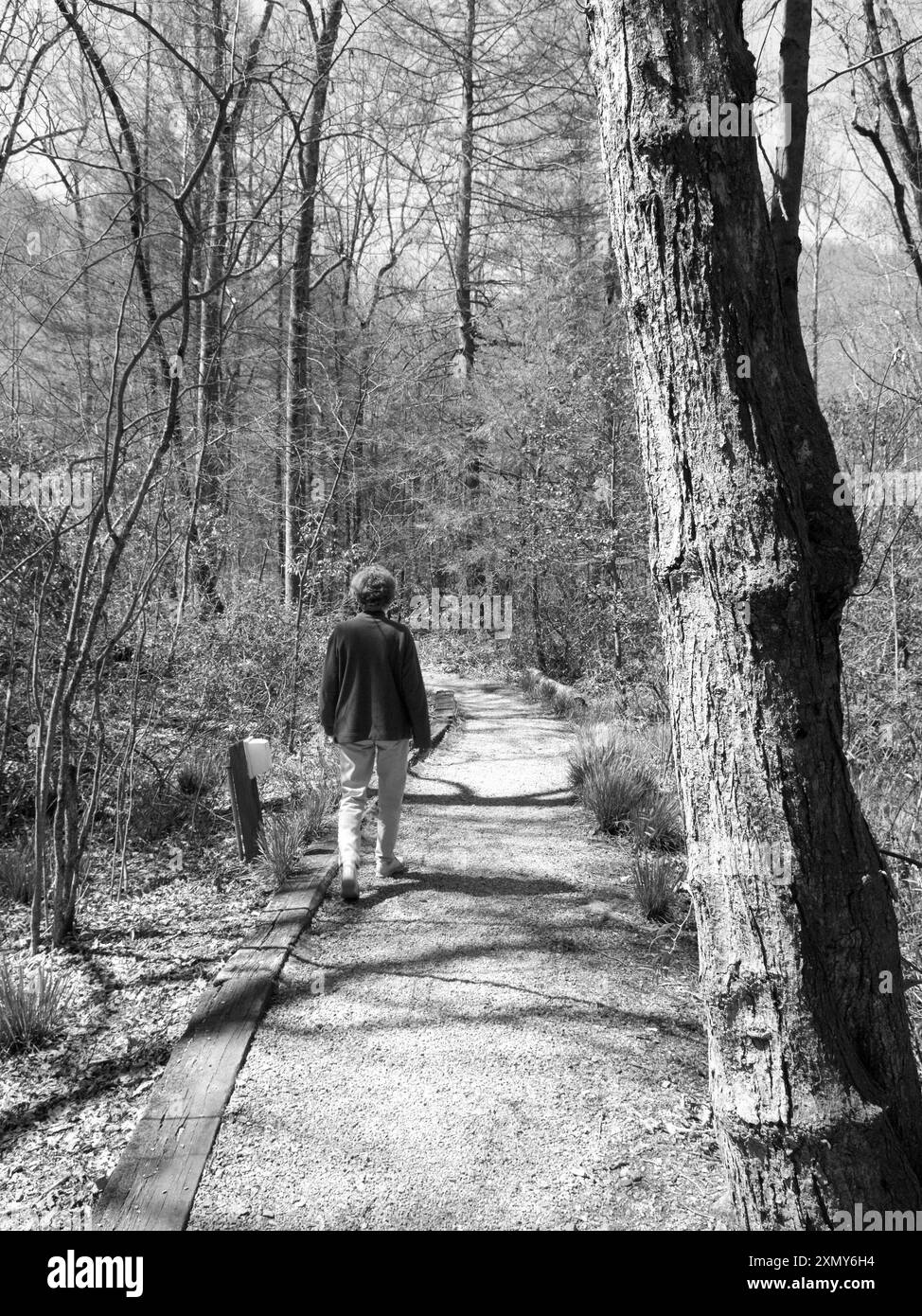 Donna caucasica di 50-55 anni che indossa le cime rosse per un'escursione su un sentiero panoramico al Davidson River Campground vicino a Brevard e Hendersonville, North Carolina. Foto Stock