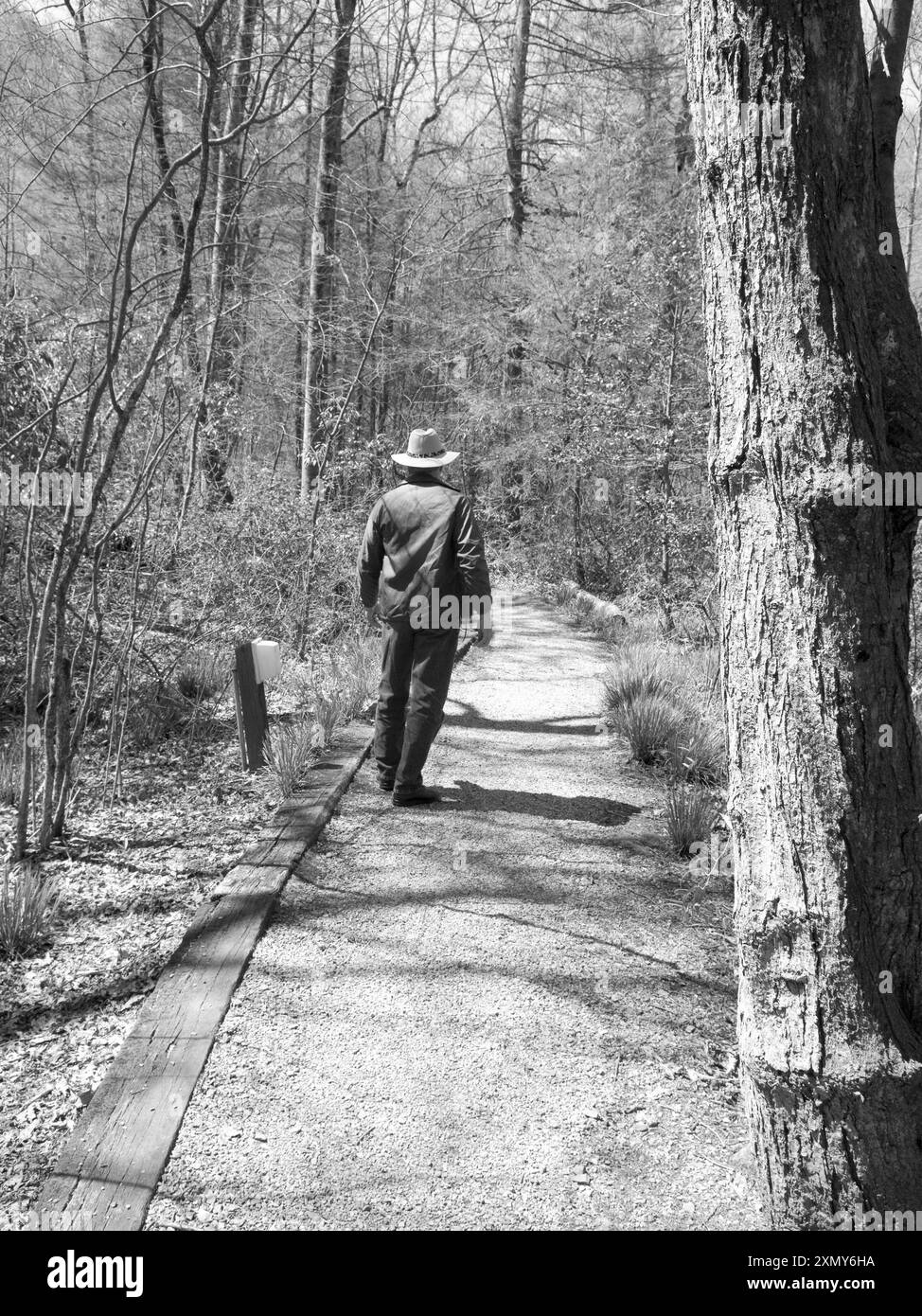 Foto stock mostra coppie caucasiche da 50 a 55 anni di escursioni su un sentiero al Davidson River Campground vicino a Brevard e Hendersonville, Transylvania County, Foto Stock