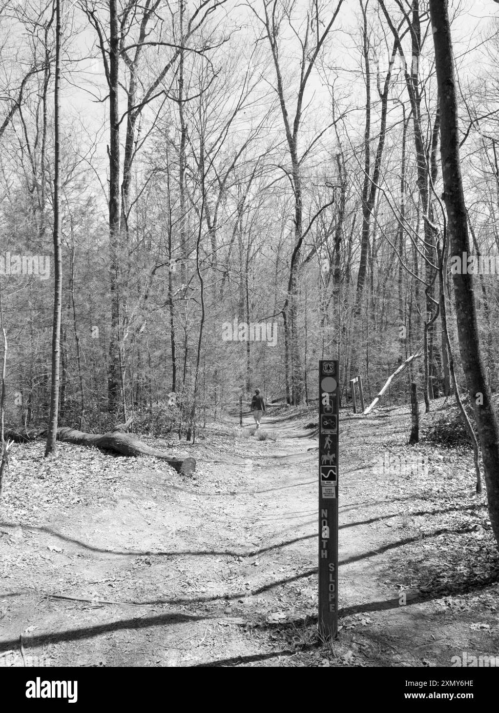 Caucasica Woman (50-55) Hikes Trail presso Davidson River Campground vicino a Brevard North Carolina USA. Foto Stock