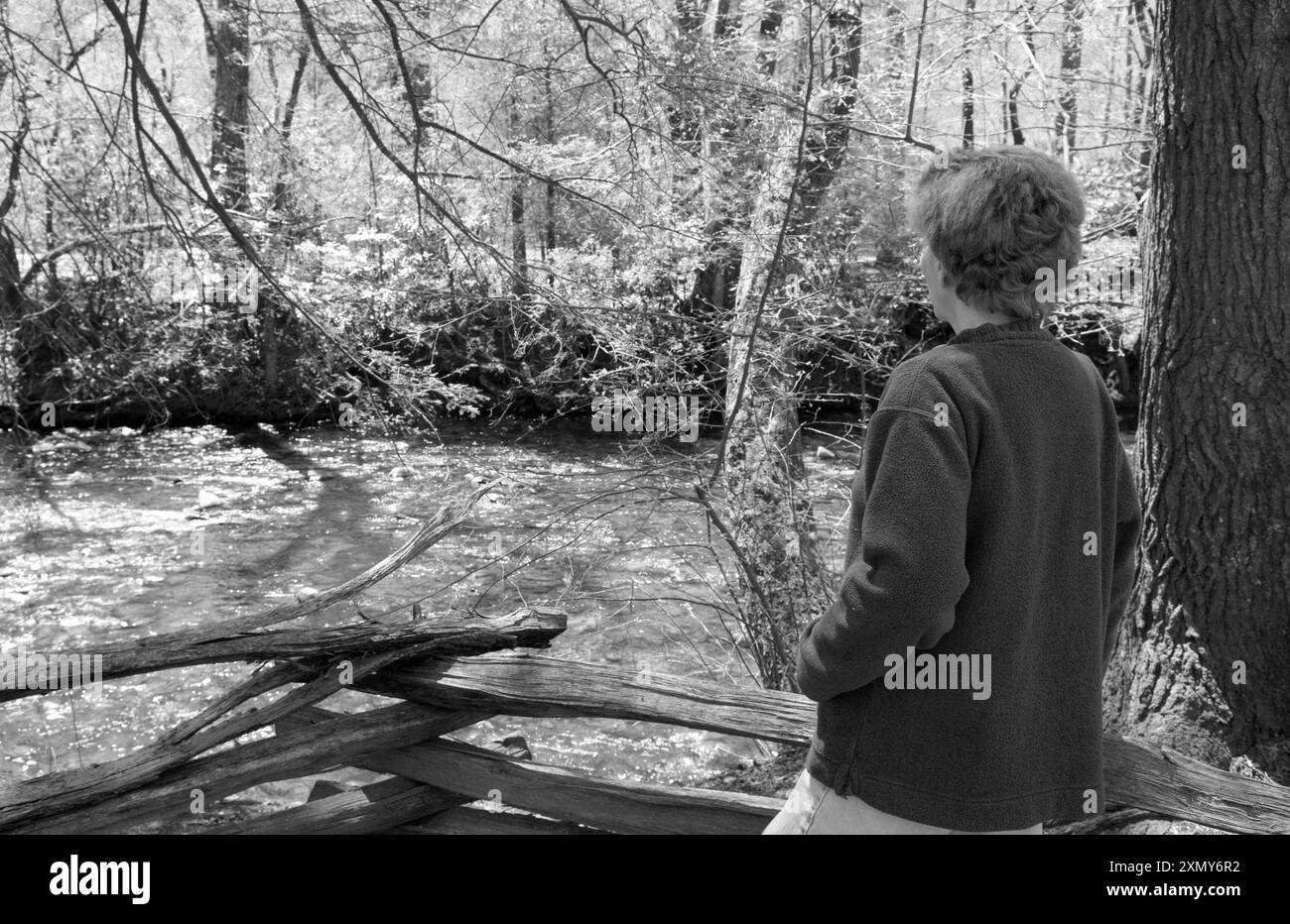 Un momento sereno come una donna caucasica, di età compresa tra i 50 e i 55 anni, si rilassa vicino al ruscello al Davidson River Campground vicino a Brevard, North Carolina. STATI UNITI Foto Stock