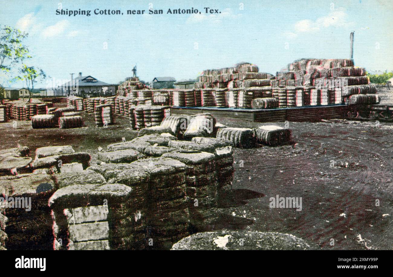 Shipping Cotton, vicino a San Antonio, Texas, Stati Uniti Foto Stock