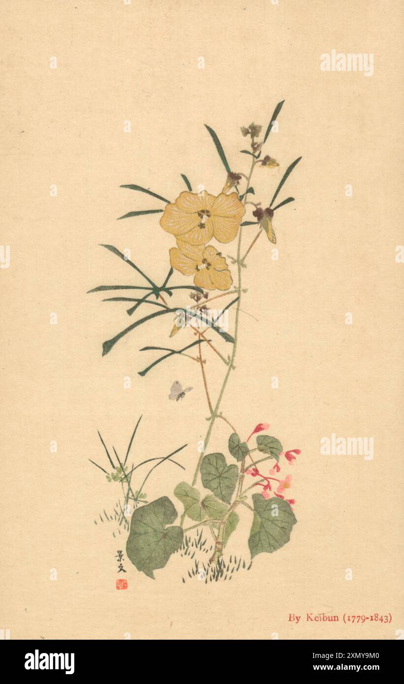 Stampa a blocchi di legno di Matsumura Keibun Foto Stock