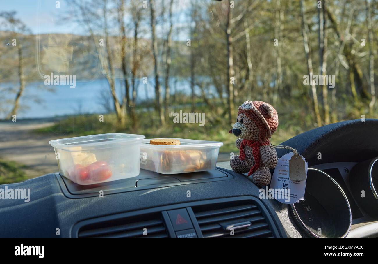 Peluche a maglia che guarda 2 scatole di provviste vicino ad Acheracle, Ardnamurchan, Scozia Foto Stock