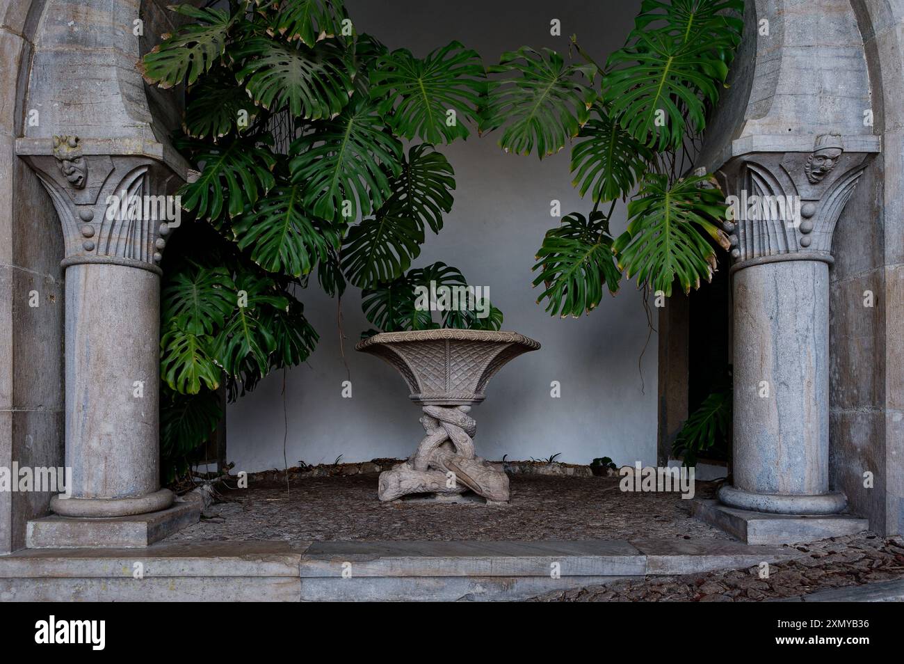 Le grandi foglie di monstera incorniciano una piantagione di pietra ornata tra le colonne del Palácio da pena Foto Stock