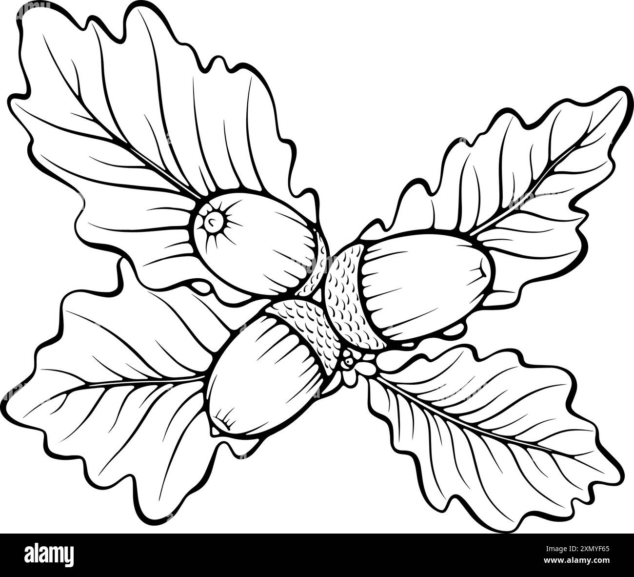 Foglie di quercia con ghiande a linea d'arte Illustrazione Vettoriale