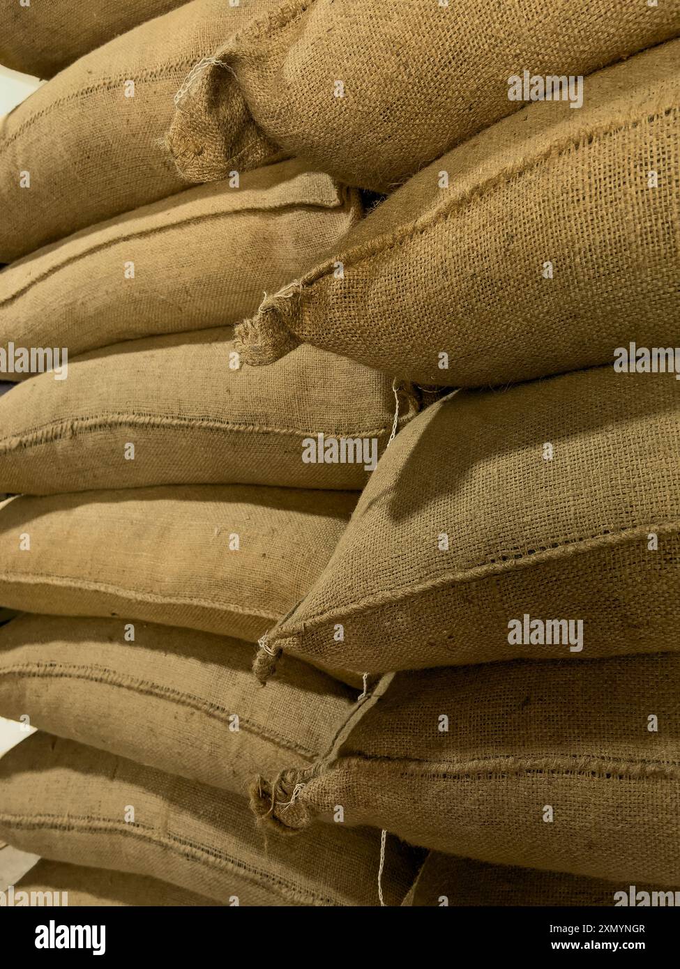 Sacchi di chicchi di caffè in un magazzino di una fattoria di caffè foto Foto Stock