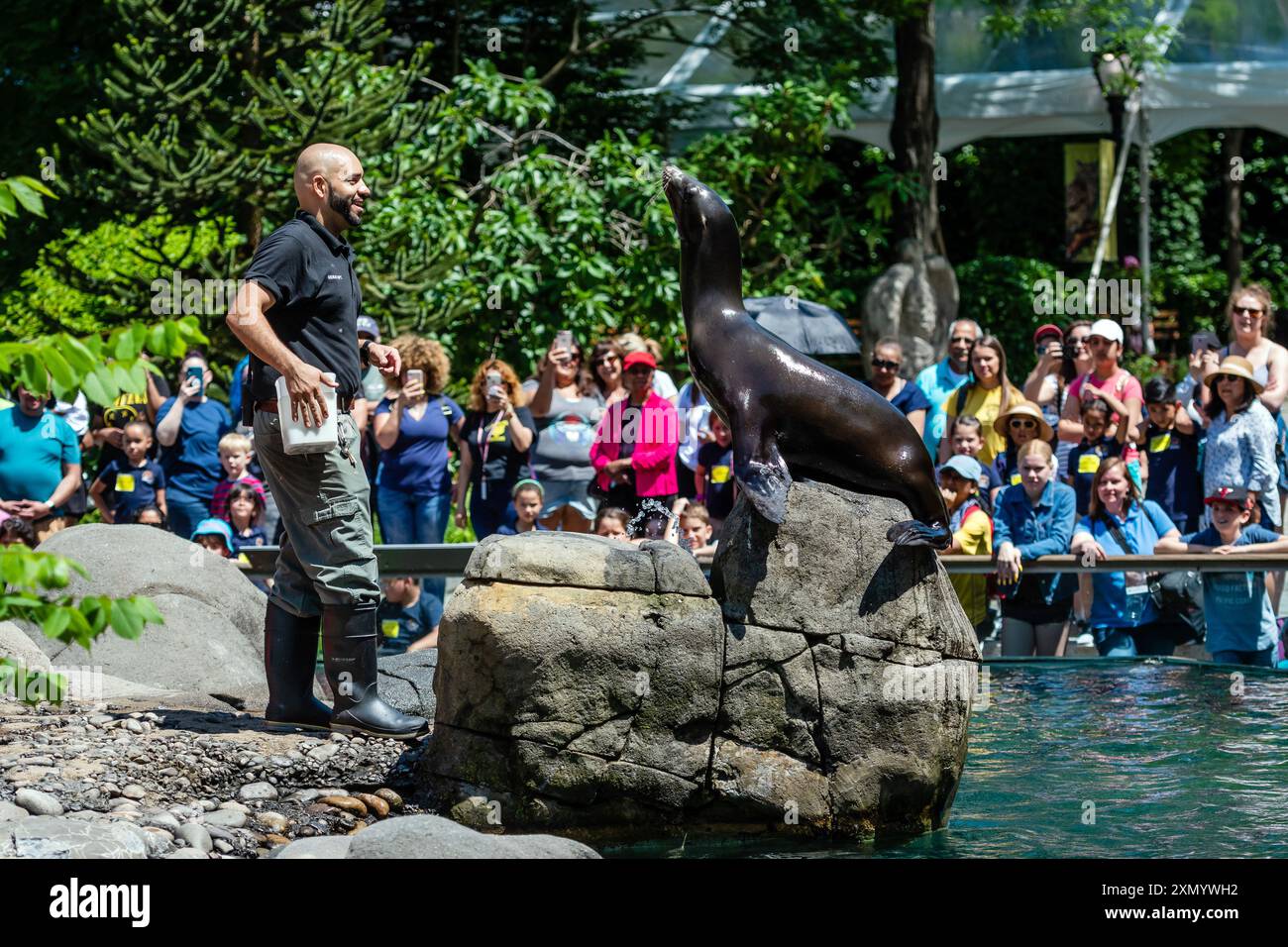 New York, USA - 6 giugno 2019: L'istruttore si impegna con un leone marino mentre i visitatori osservano e imparano nelle vicinanze. Foto Stock
