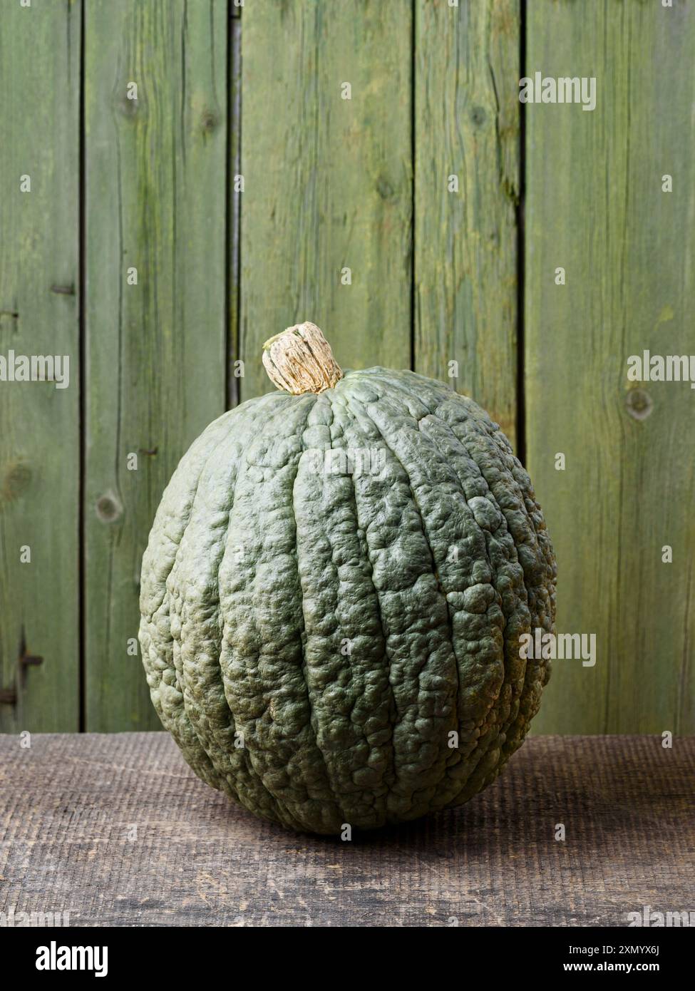 Zucca Crespo squash Heirloom su un vecchio tavolo rustico con sfondo verde Foto Stock
