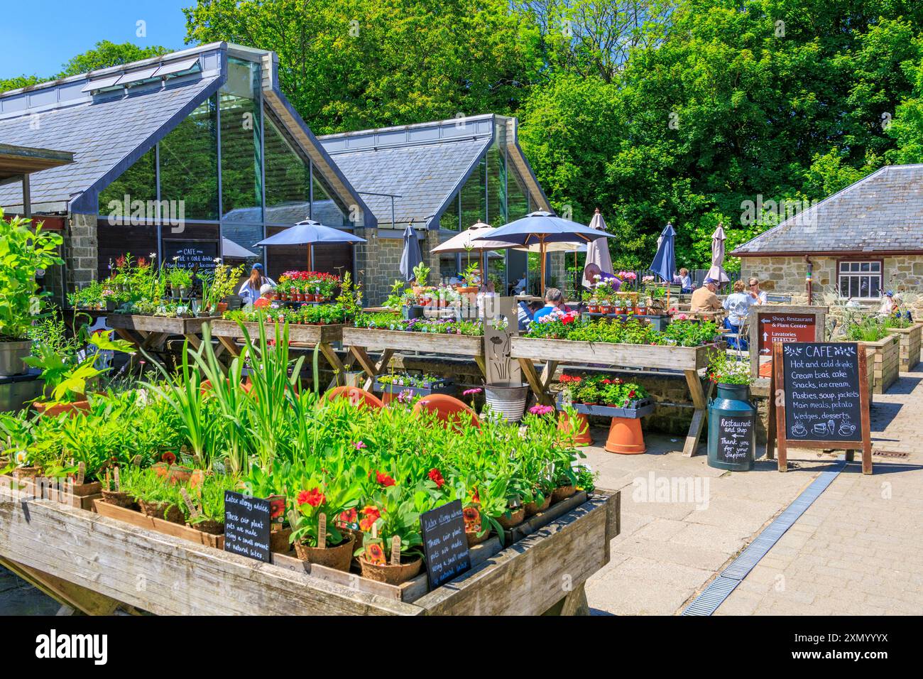 L'area di vendita dello stabilimento nel centro visitatori di Stourhead Gardens, Wiltshire, Inghilterra, Regno Unito Foto Stock