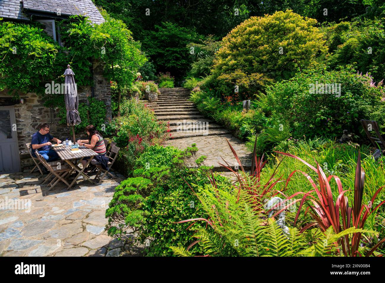 Due visitatori si godono cibo e bevande nella sala da tè di Docton Mill Garden, Lymebridge, North Devon, Inghilterra, Regno Unito Foto Stock