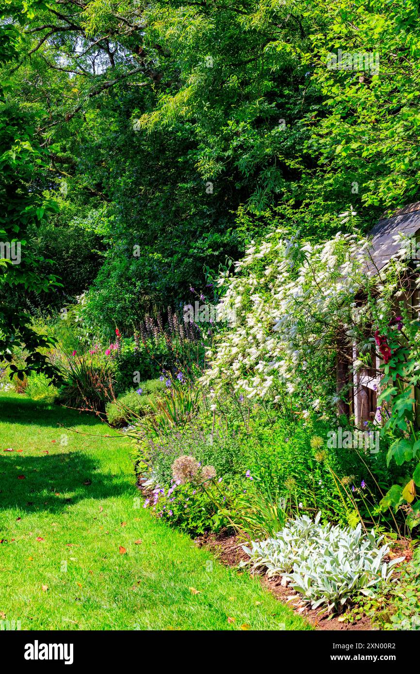 Una casa estiva in legno e un colorato confine erbaceo al Docton Mill Garden, Lymebridge, North Devon, Inghilterra, Regno Unito Foto Stock