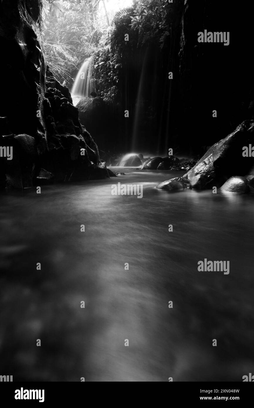 Paesaggio di bellezza indonesiana risaie nel nord di bengkulu, splendida vista naturale mattutina dall'Indonesia delle montagne e della foresta tropicale Foto Stock