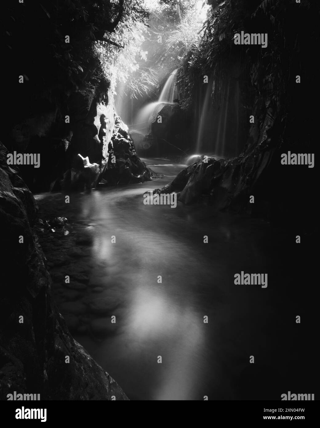 Paesaggio di bellezza indonesiana risaie nel nord di bengkulu, splendida vista naturale mattutina dall'Indonesia delle montagne e della foresta tropicale Foto Stock