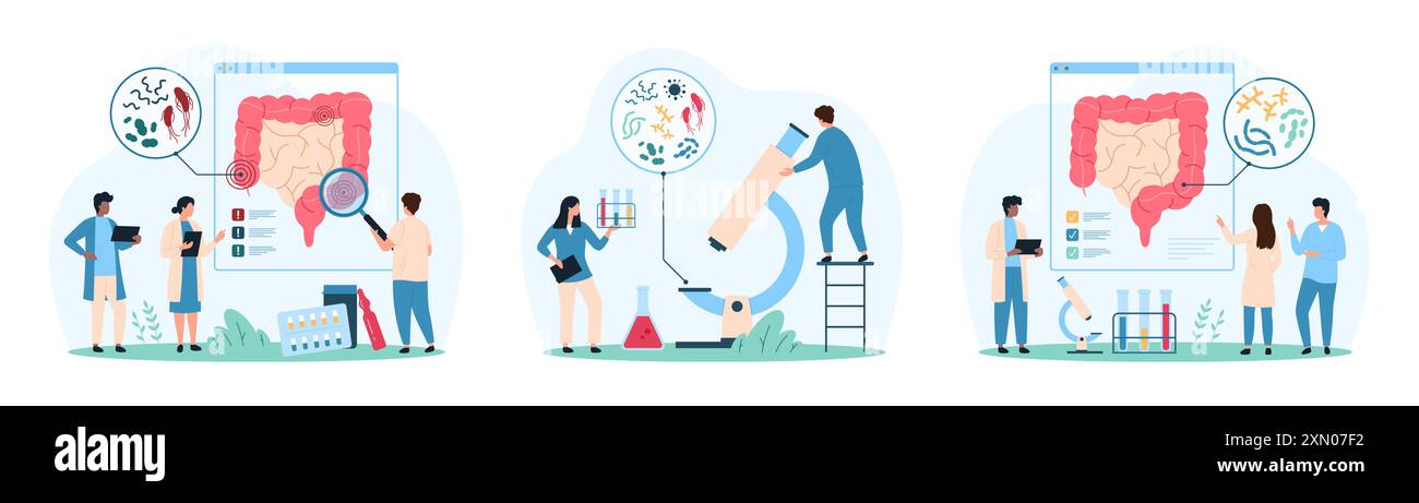 Batteri buoni e cattivi nell'intestino umano. Le persone di piccole dimensioni con lente d'ingrandimento e microscopio ricercano microbi di piccole dimensioni e bacillus, lactobacillus bacterium Inside bowel cartoon Vector Illustration Illustrazione Vettoriale