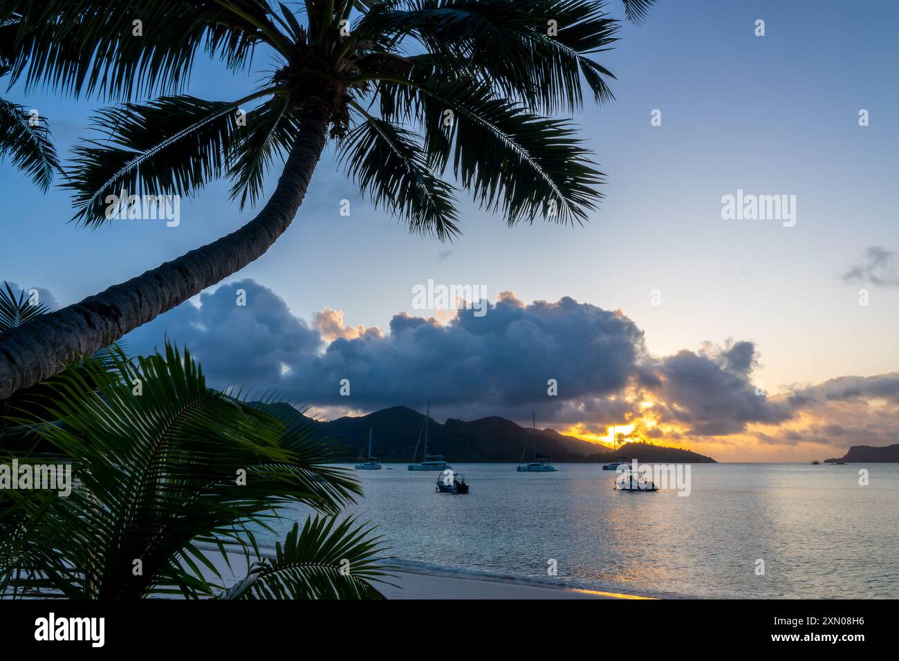 Palme sulla spiaggia al tramonto sull'isola di Praslin, Seychelles Foto Stock