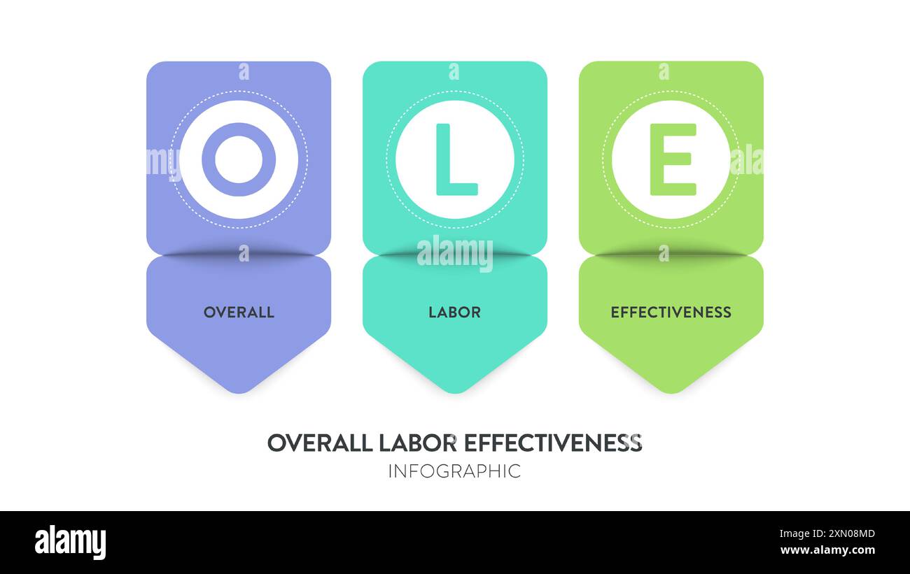OLE, grafico infografico grafico dell'efficacia complessiva del lavoro, modello di banner vettoriale per la presentazione. Misura l'utilizzo della forza lavoro, le prestazioni e il qu Illustrazione Vettoriale