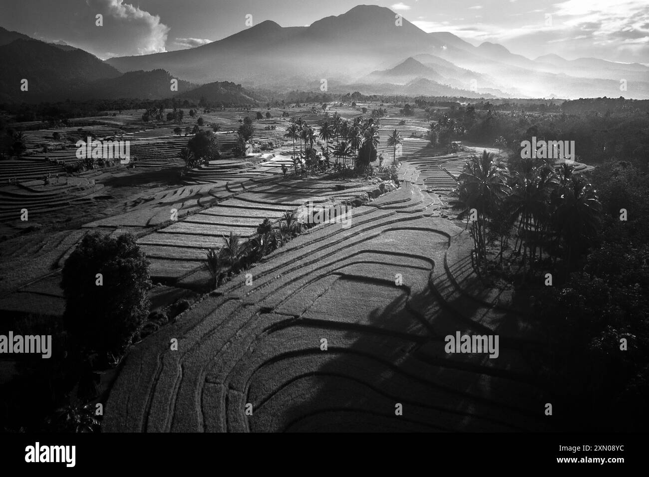 Paesaggio di bellezza indonesiana risaie nel nord di bengkulu, splendida vista naturale mattutina dall'Indonesia delle montagne e della foresta tropicale Foto Stock