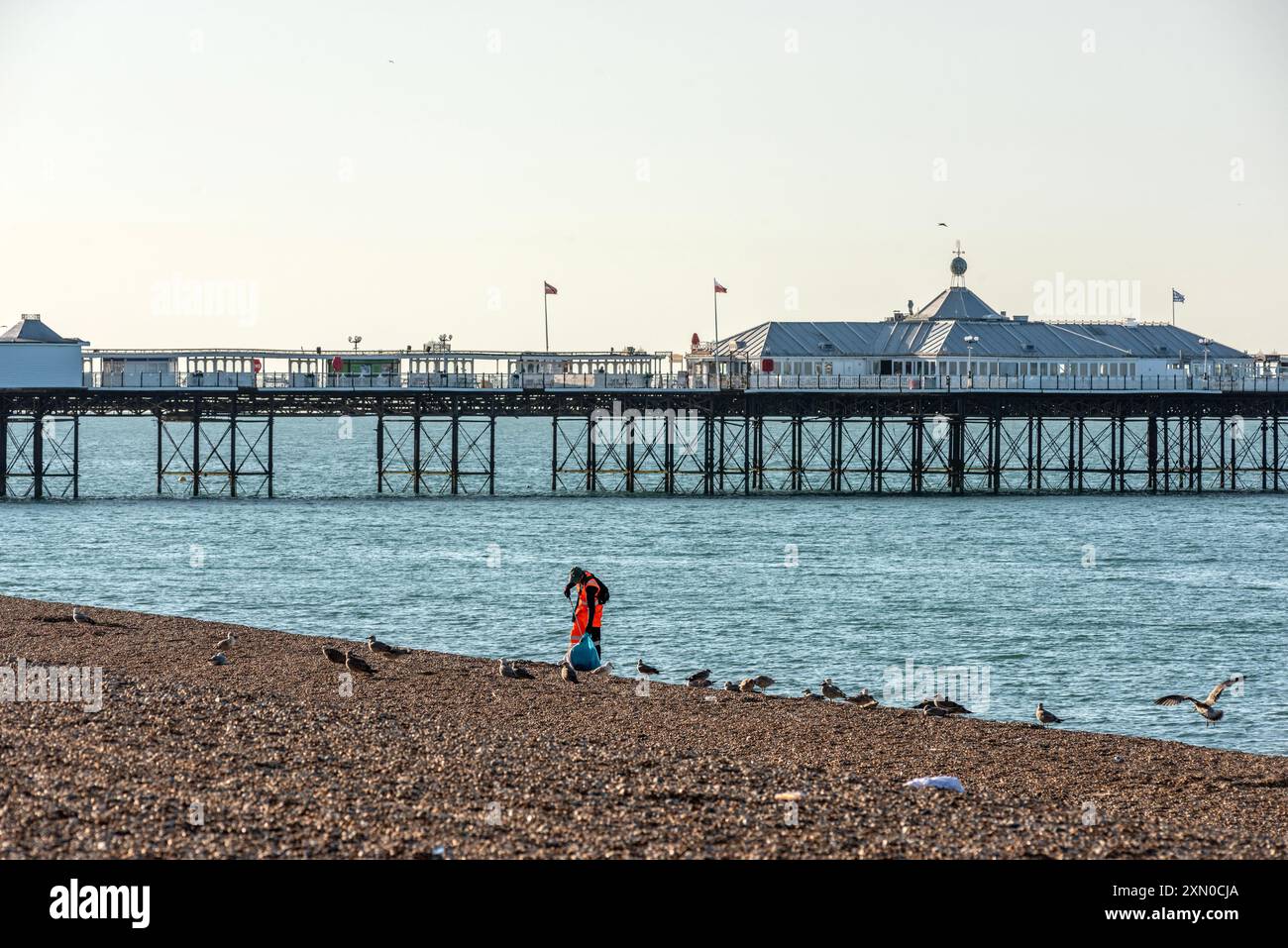 Brighton, 29 luglio 2024: Cucciolata sulla spiaggia di Brighton la mattina dopo uno dei giorni più caldi e frequentati dell'anno Foto Stock