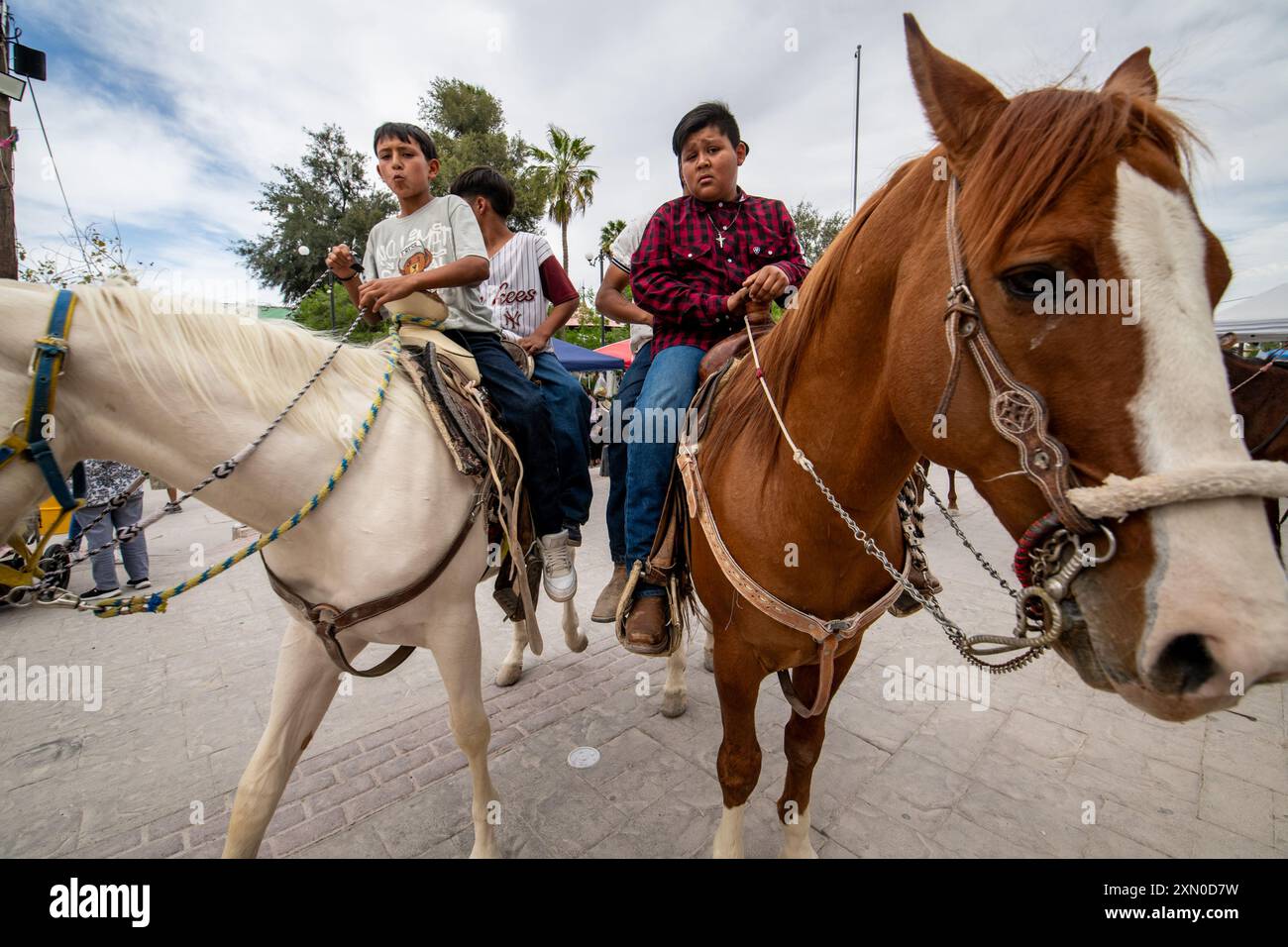 Festival di Mapimi, Messico. Foto Stock