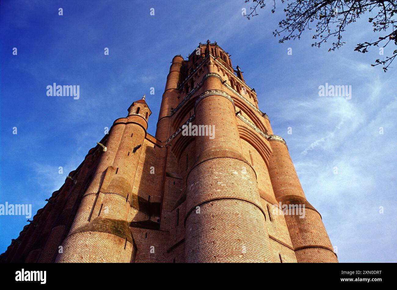 Cattedrale di Sainte Cecile (fortezza-chiesa in stile gotico iniziata nel 1277 e terminata nel 1512. Torre: Alta 78 m.). Dal 1208 al 1229, questa città è stata Foto Stock