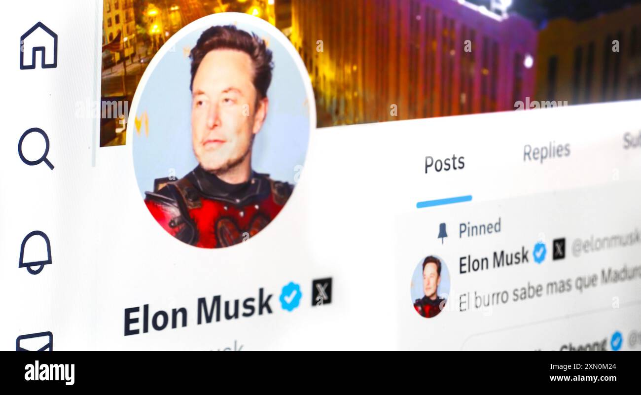 30 luglio 2024 Poltava. Primo piano del profilo e dell'immagine di Elon Musk in Ucraina su Twitter. Foto Stock