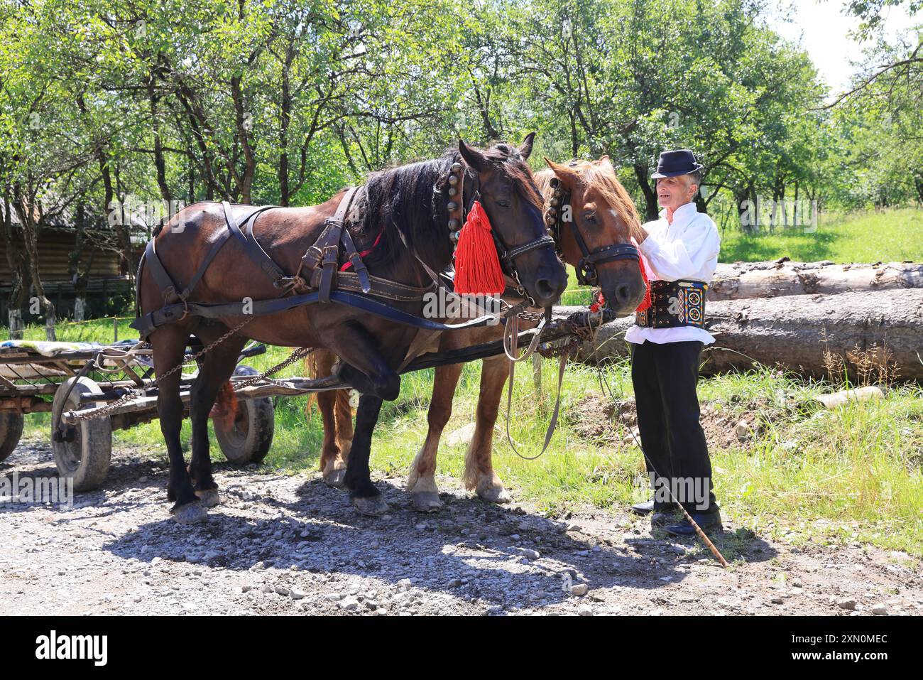 Villaggio di Breb nel cuore delle Maramures rurali, a 500 m sui monti Carpazi, dove l'autentica e affascinante semplicità della vita rurale rumena. Foto Stock