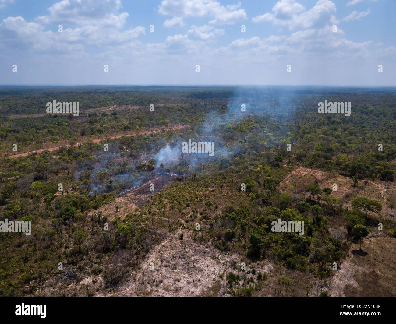 Vista aerea del fuoco della deforestazione illegale della foresta pluviale amazzonica per aprire terreni per bestiame, soia e agricoltura. Ambiente, ecologia, cambiamento climatico. Foto Stock